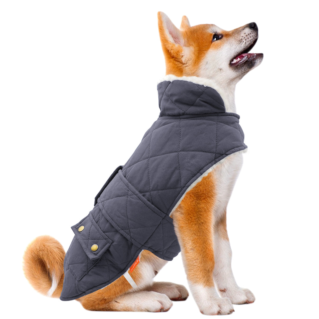 Dark gray quilted dog coat with hood and snap pockets, padded winter outerwear