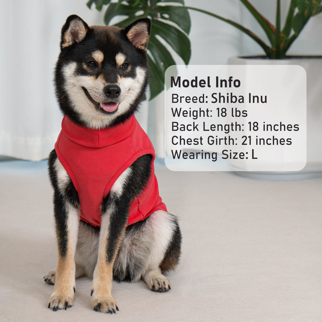 Dog wearing red sleeveless turtleneck velvet sweater