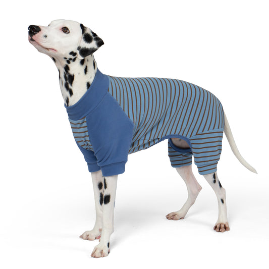 Blue thermal dog pajamas with brown-and-blue striped sleeves and belly panel