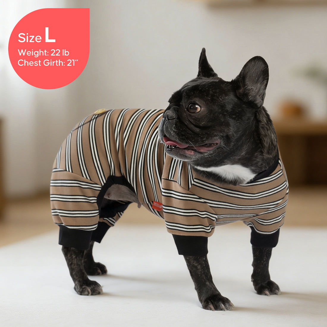 Striped dog onesie pajamas on dog, tan-and-white stripes with front logo patch