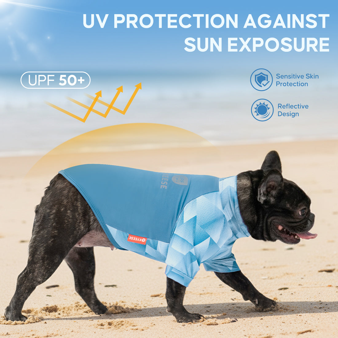 Blue UV dog shirt on black French bulldog, geometric chest design