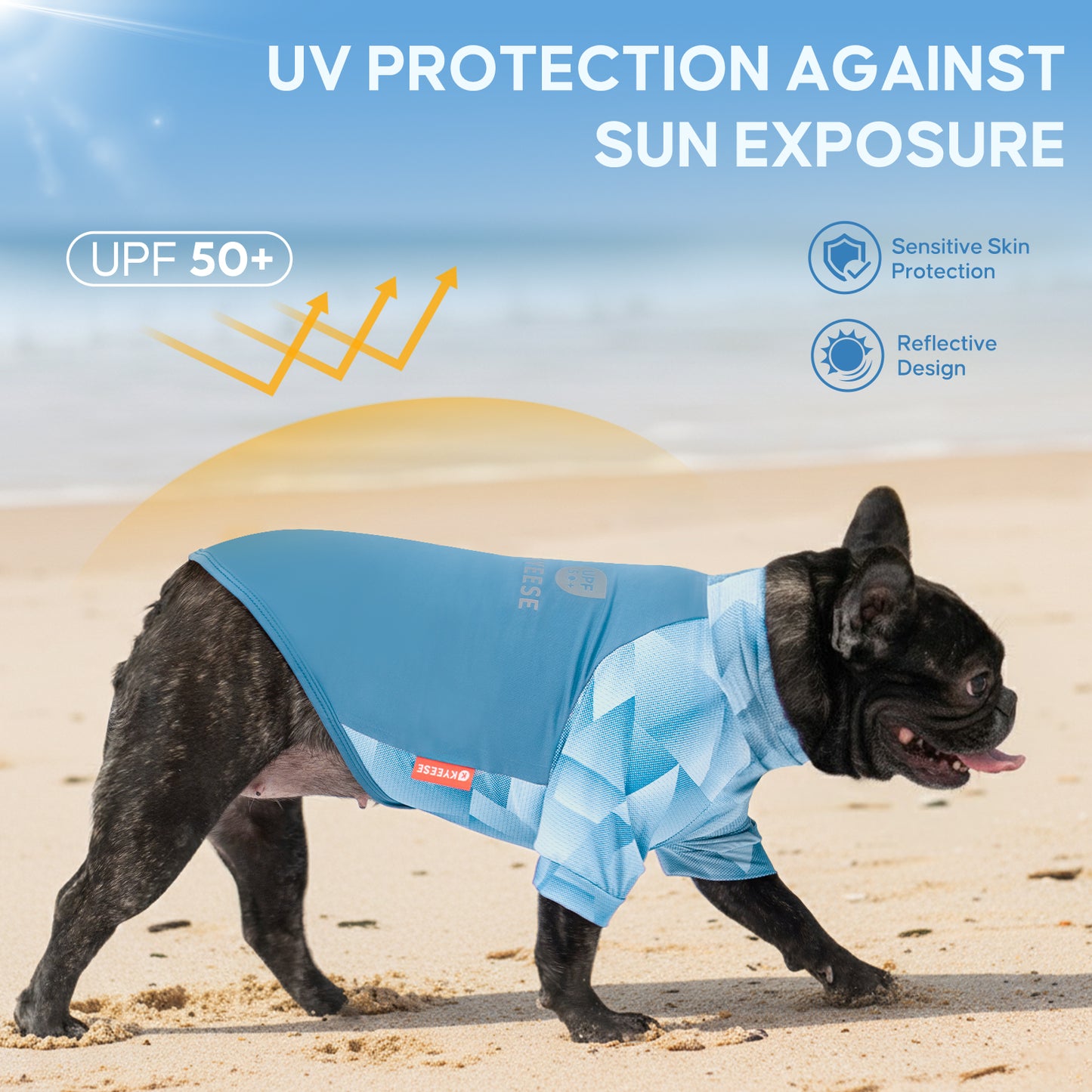 Blue UV dog shirt on black French bulldog, geometric chest design