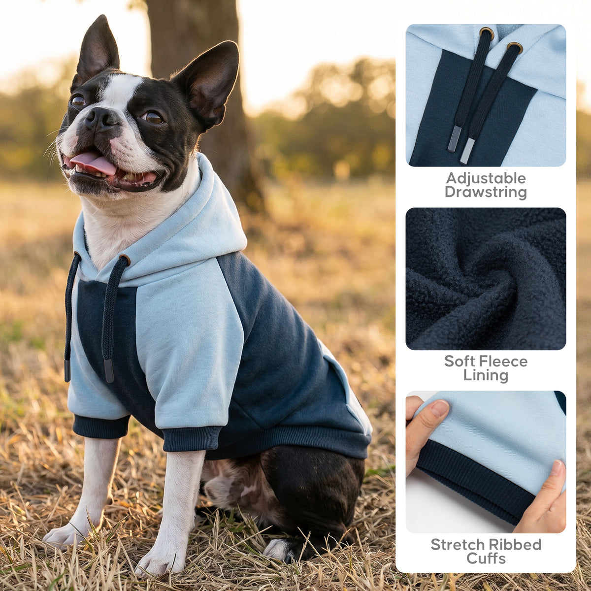 Navy Blue Comfort Dog Hoodie gallery image 5
