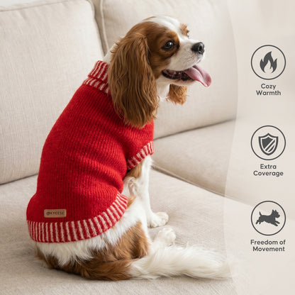 Red Thick Wool Dog Sweater