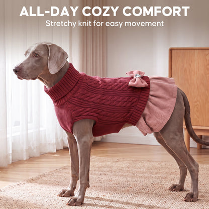 Gray dog standing indoors in burgundy sweater dress with pink pleated skirt