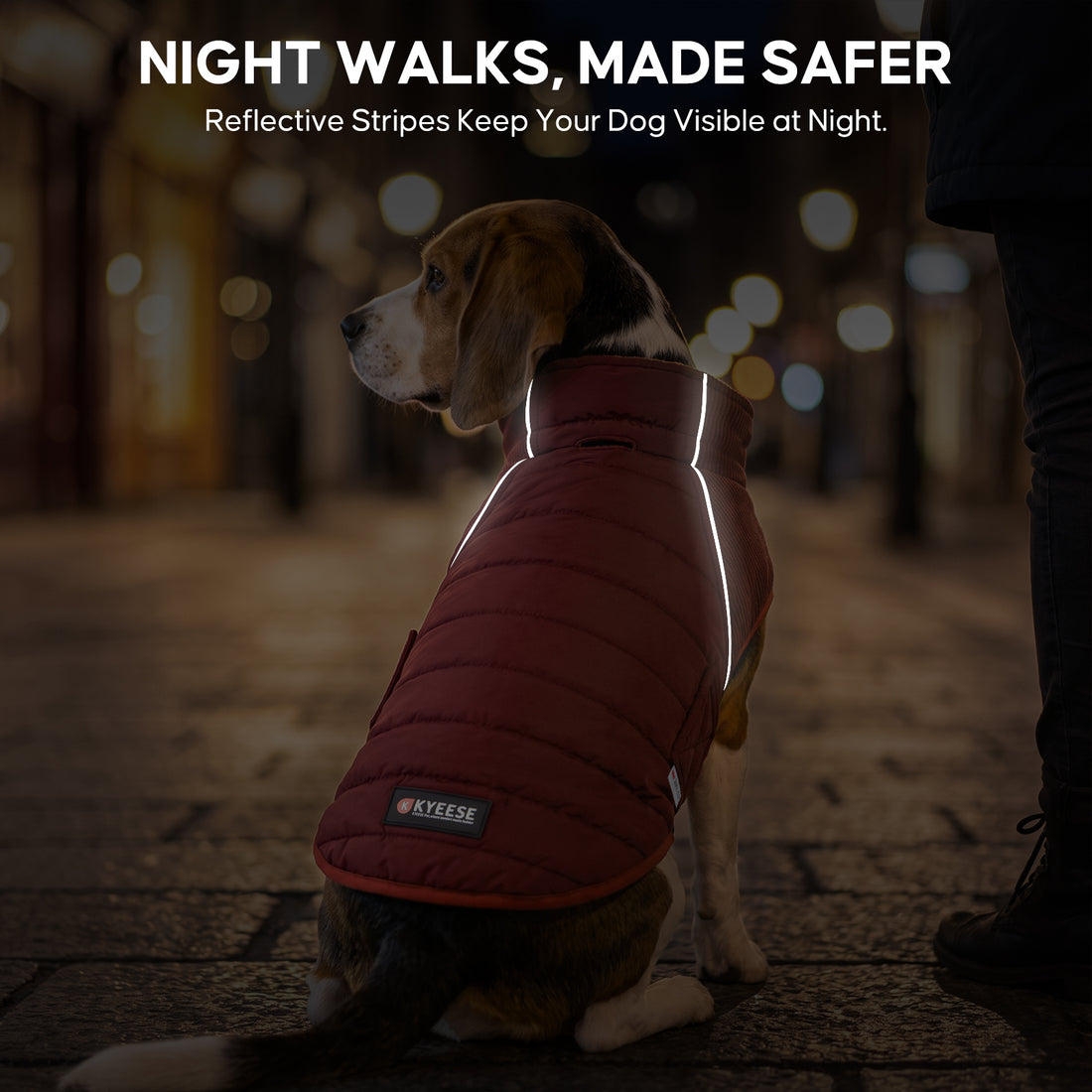 Red Waterproof Lined Dog Coat gallery image 7