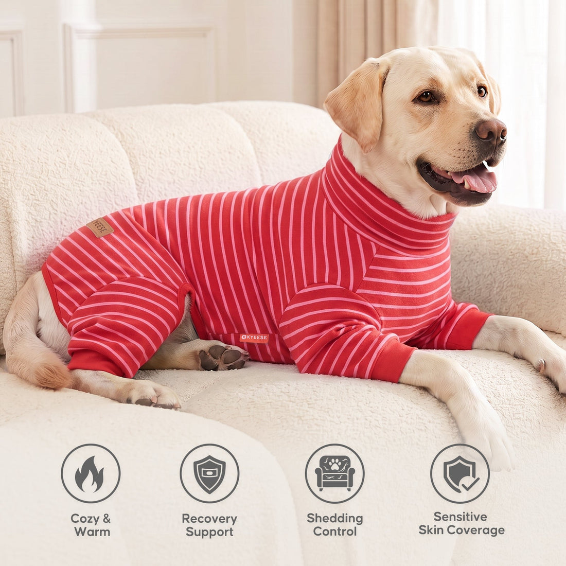 Tan dog resting on a cream sofa in red striped high neck pajamas, with feature icons