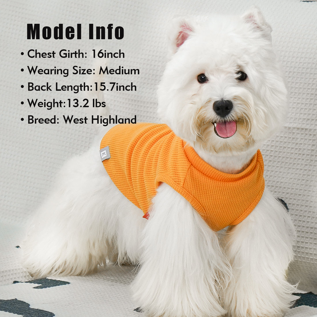 Small dog wearing a solid orange waffle dog shirt with round neck