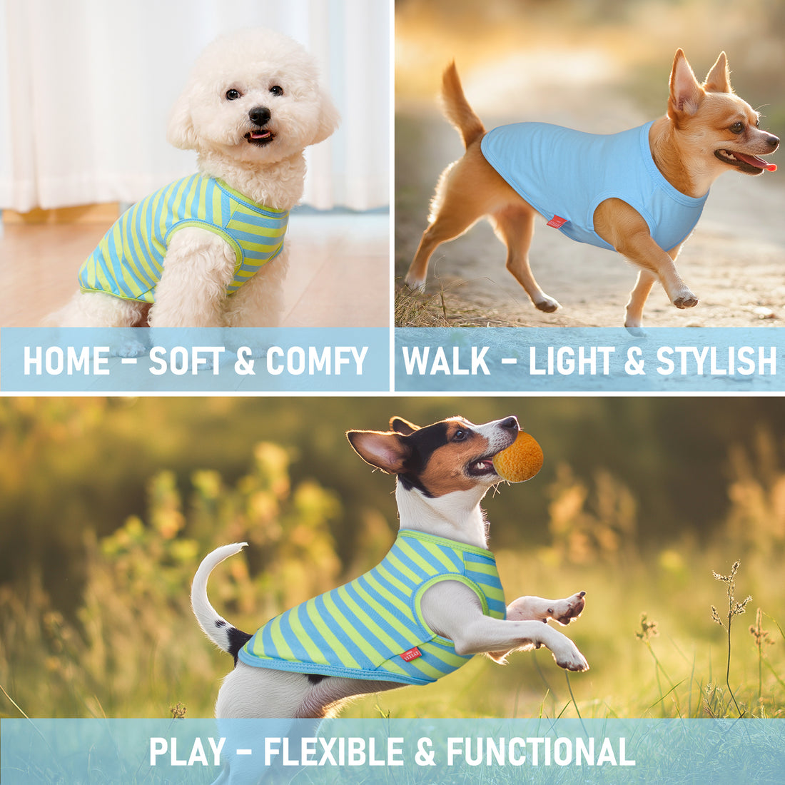 Two views of a turquoise striped sleeveless dog shirt with gray bone patch