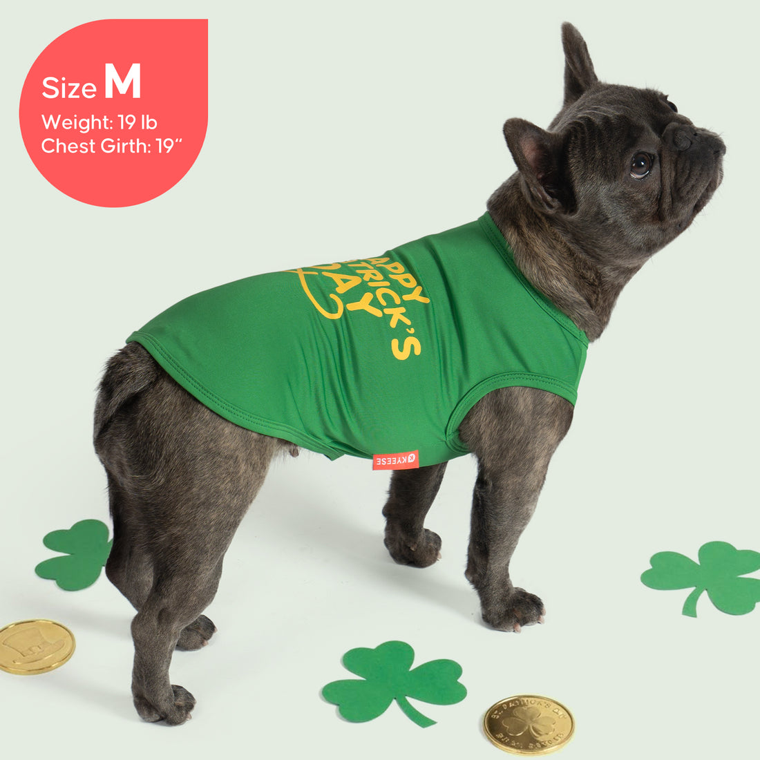 Green sleeveless dog shirt with 'Happy St. Patrick's Day' lettering on back