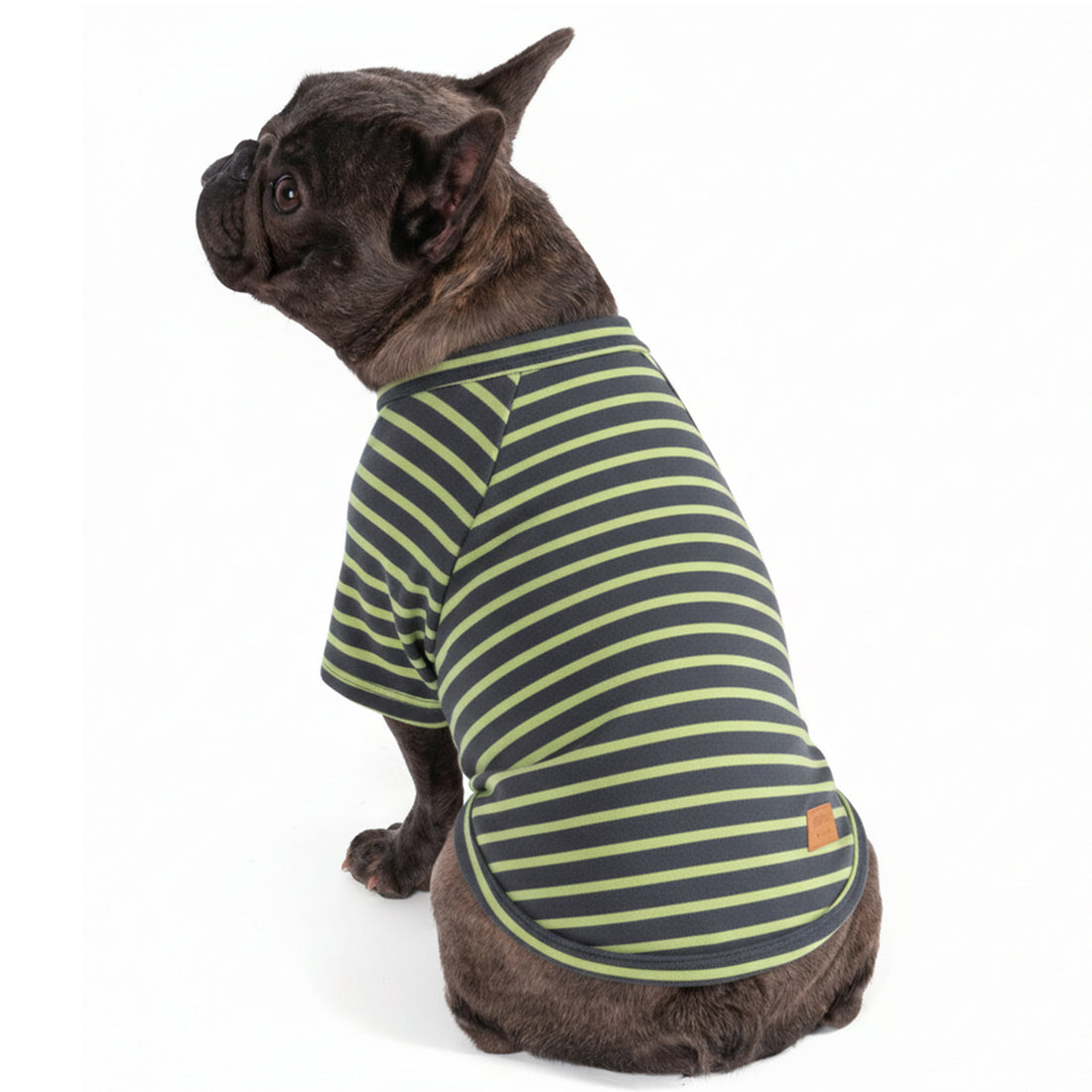 Navy and lime striped dog raglan sleeve shirt with green collar and hem trim