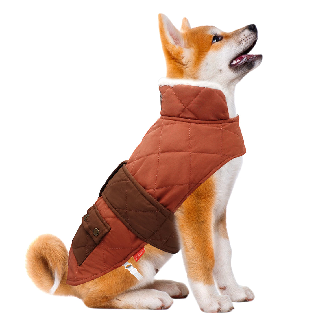 Quilted windproof dog coat with pocket, orange outer and dark side panels.