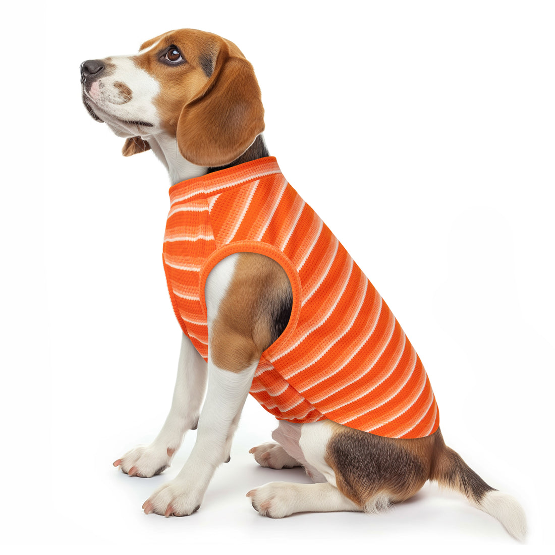 Dog wearing orange-and-white striped waffle dog shirt with round neck