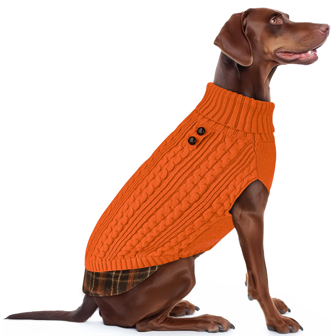 Orange turtleneck dog sweater with cable knit pattern and two-button chest detail
