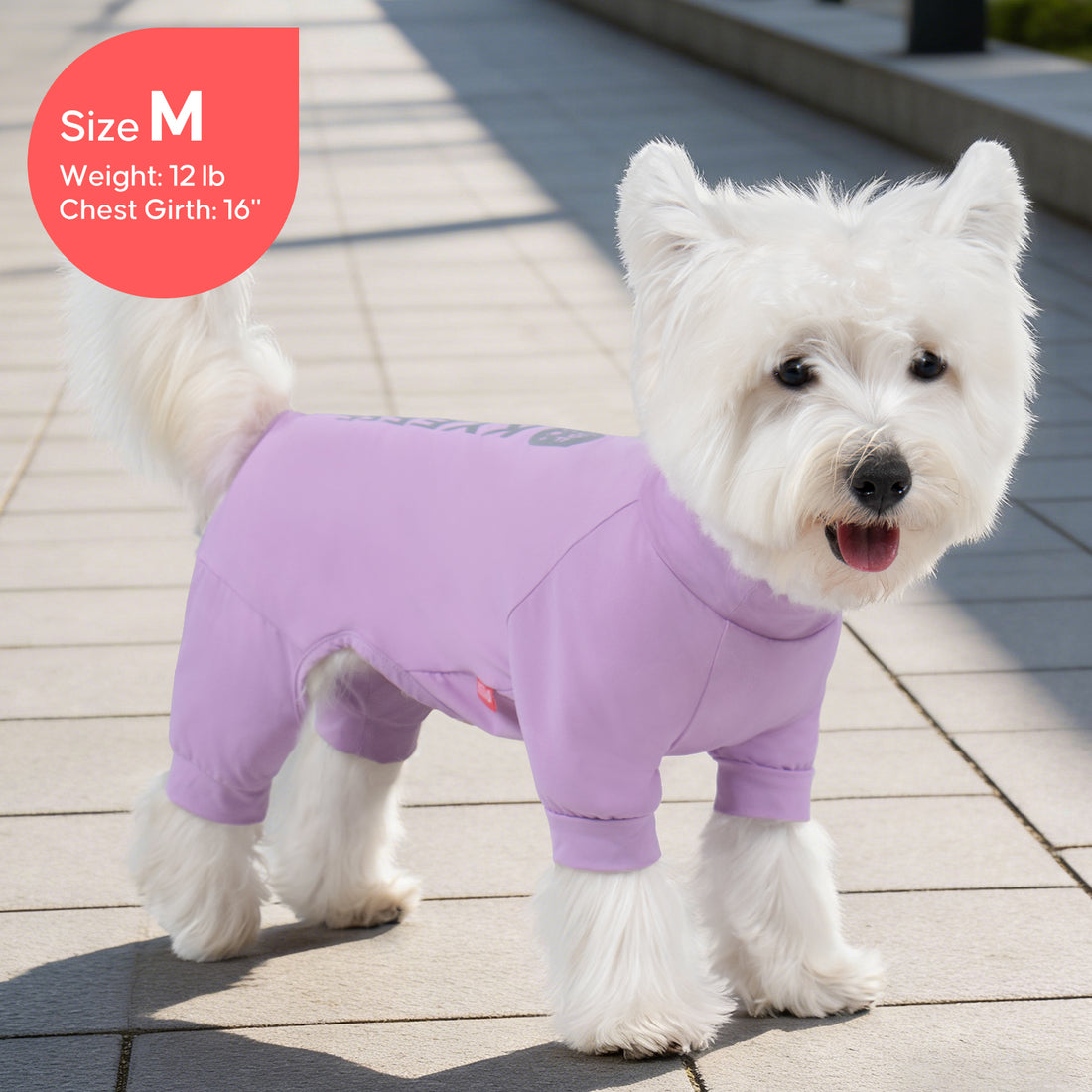 Purple one-piece dog UV pajama suit on small white dog, front view