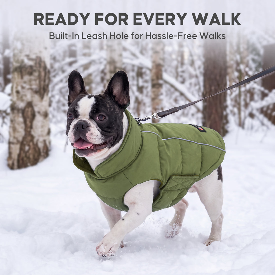 Green Reflective Dog Winter Coat gallery image 6