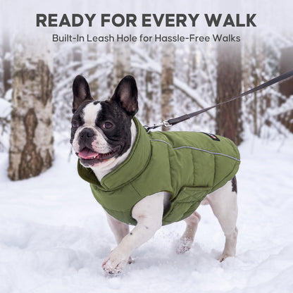 Green Reflective Dog Winter Coat gallery image 6