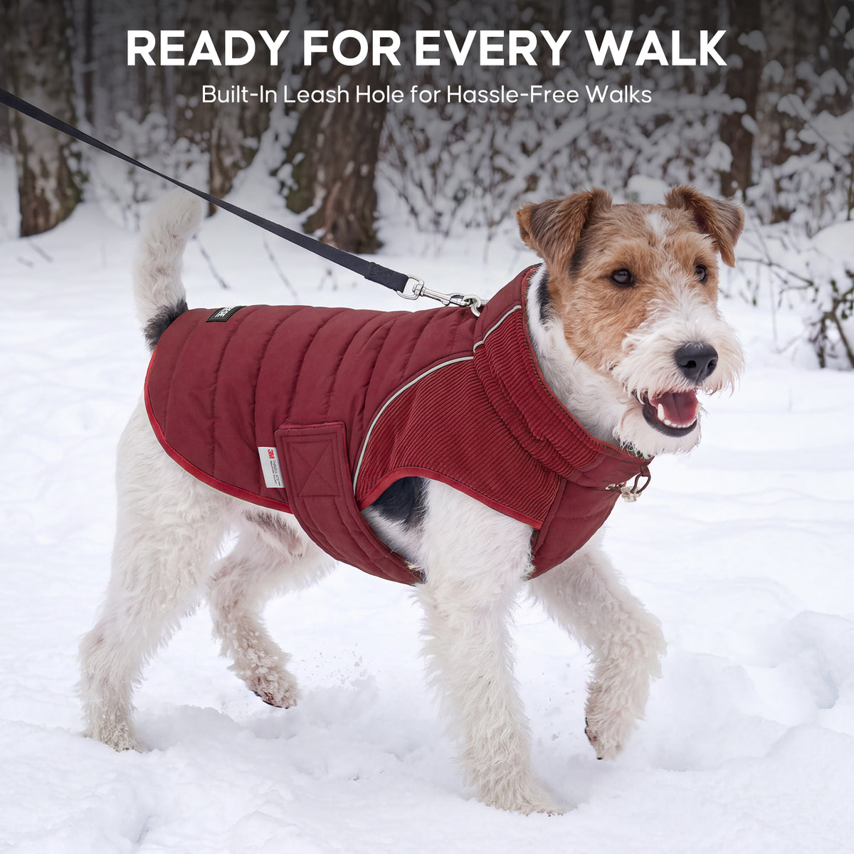 Red Waterproof Lined Dog Coat gallery image 8