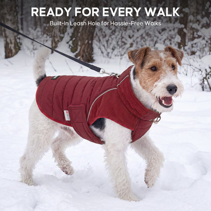 Red Waterproof Lined Dog Coat gallery image 8