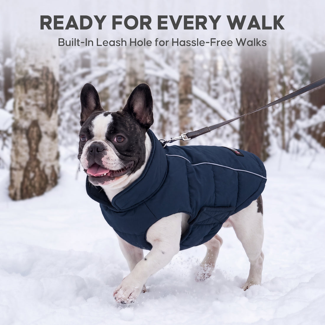 Blue Reflective Dog Winter Coat gallery image 6