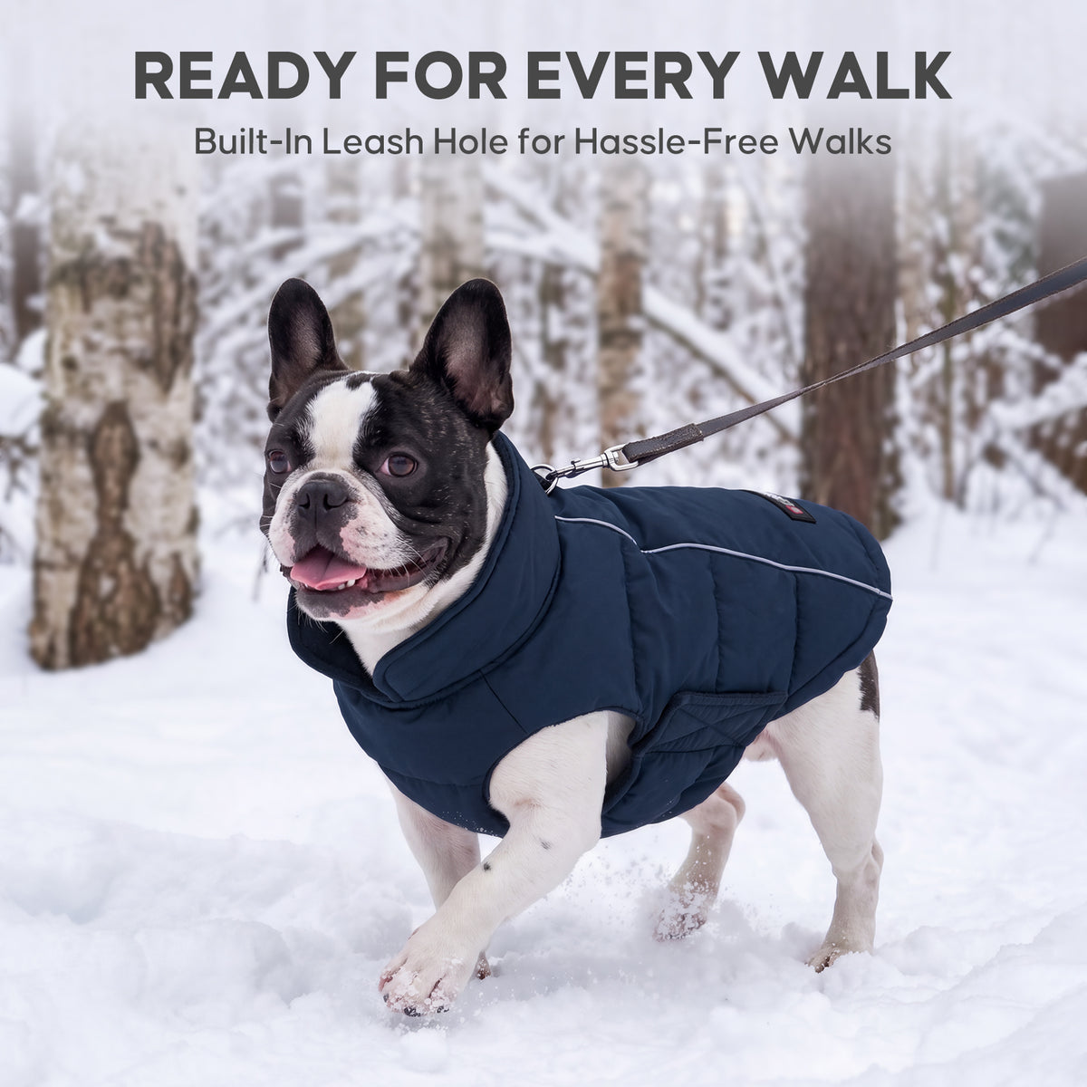 Blue Reflective Dog Winter Coat gallery image 6
