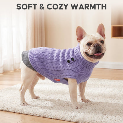 Cream French bulldog standing indoors in purple cable knit turtleneck sweater
