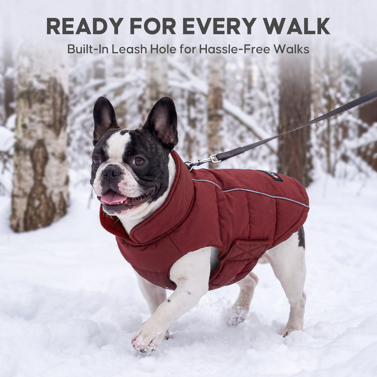 Red Reflective Dog Winter Coat gallery image 6