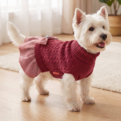 White dog standing indoors in burgundy cable knit dress with pink skirt, side view