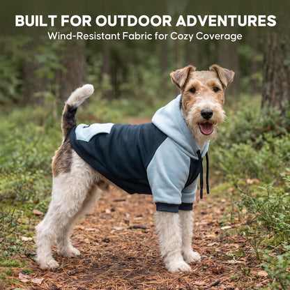 Navy Blue Comfort Dog Hoodie gallery image 6
