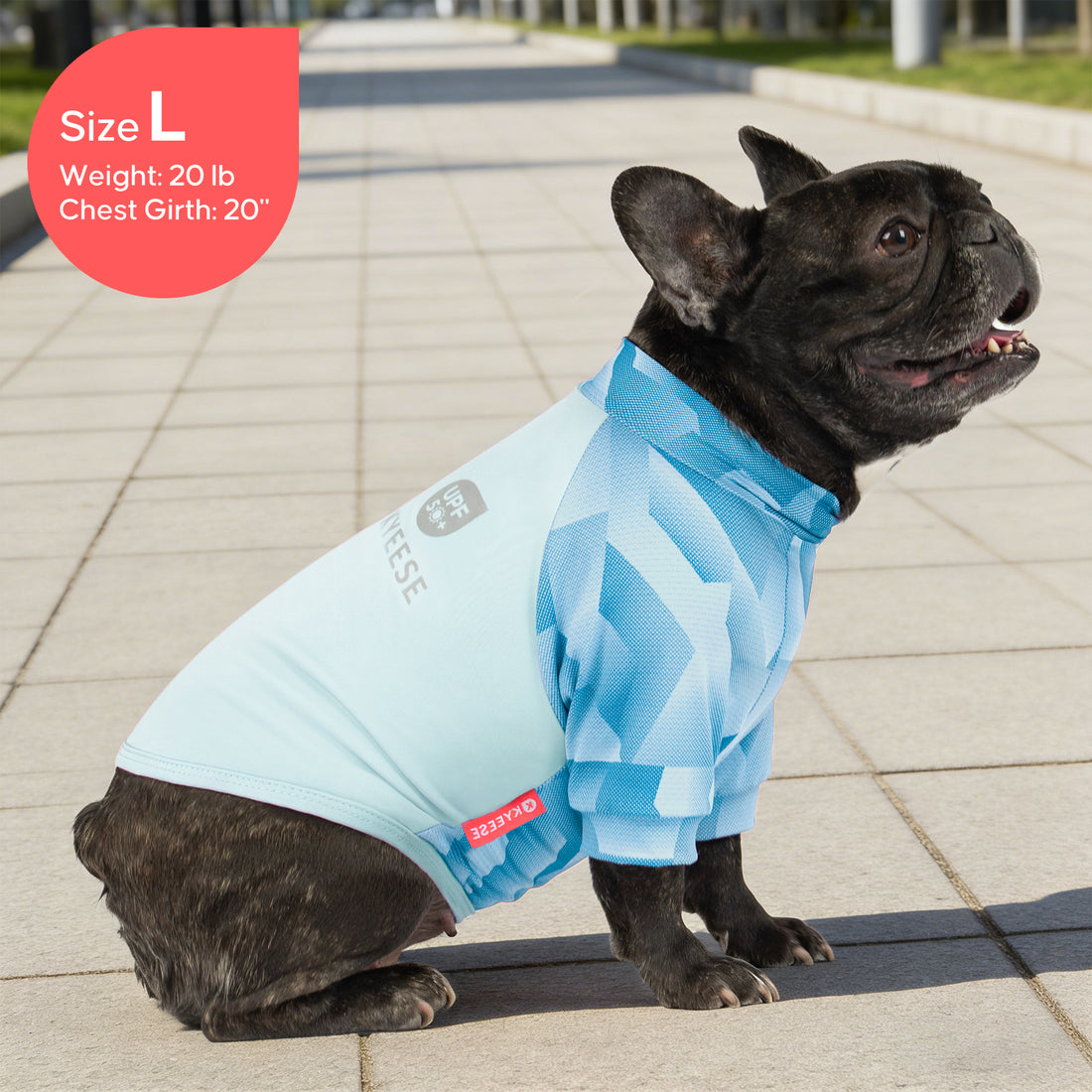 Blue UV dog shirt on black French bulldog, geometric pattern, side view