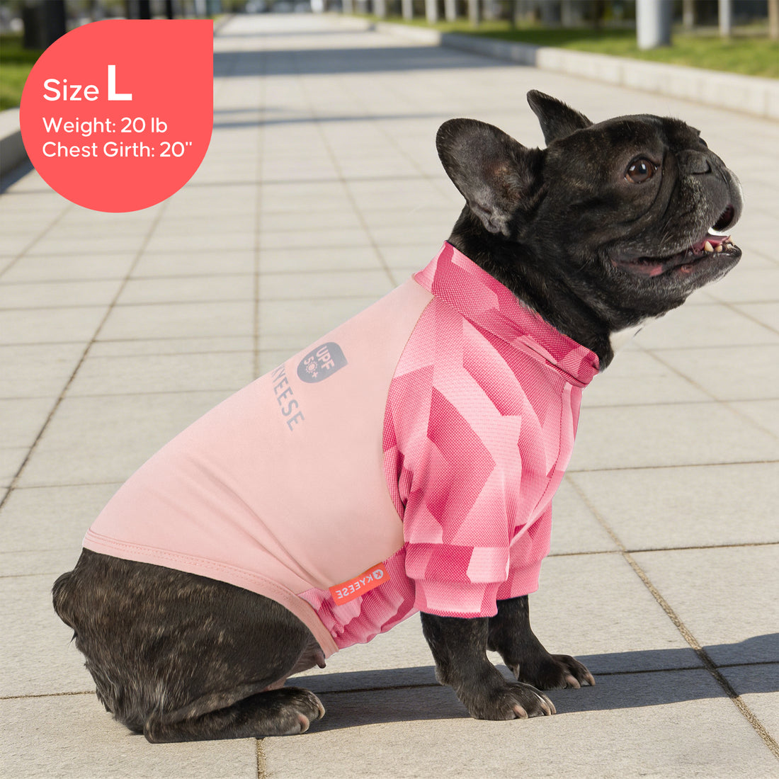 Pink UV dog shirt on black French bulldog, geometric pattern, side view