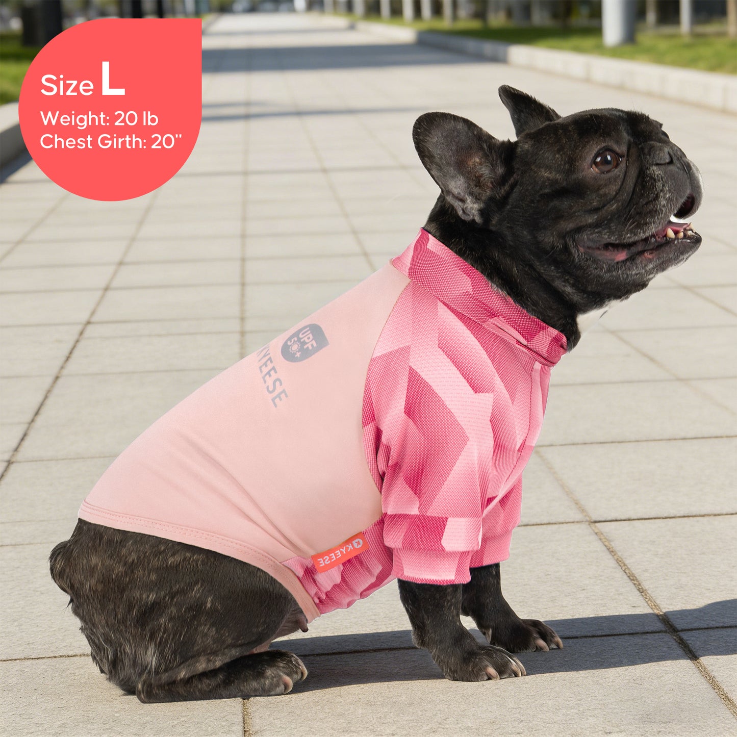 Pink UV dog shirt on black French bulldog, geometric pattern, side view