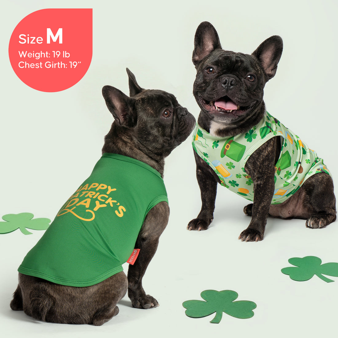 Two dogs wearing sleeveless St. Patrick's day shirts: green lettering and white shamrocks