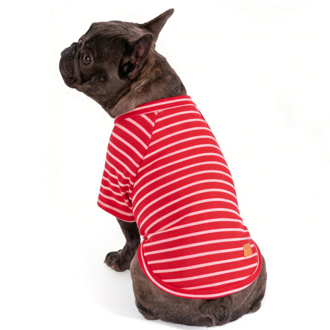 Dog shirt with red-and-white striped raglan sleeves