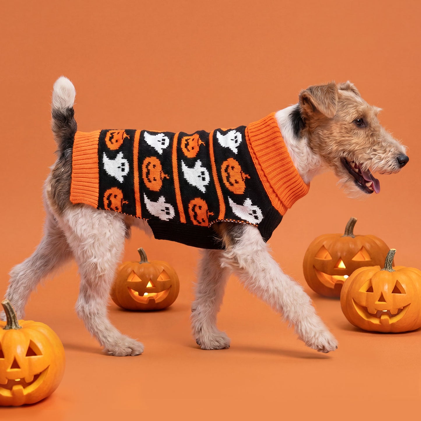 Orange Pumpkin Halloween Dog Sweater