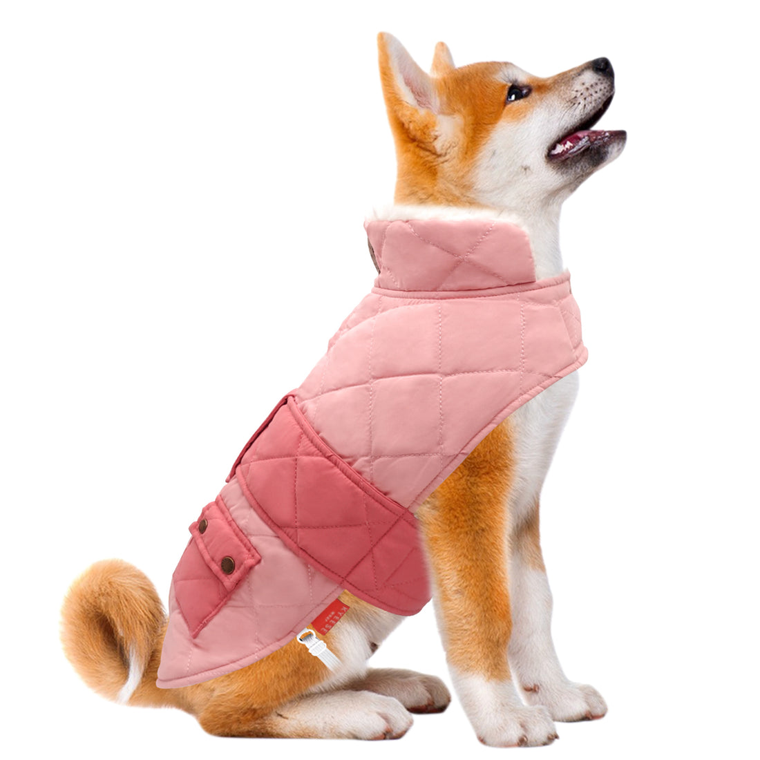 Pink quilted dog coat with hood and front pocket, padded winter outerwear