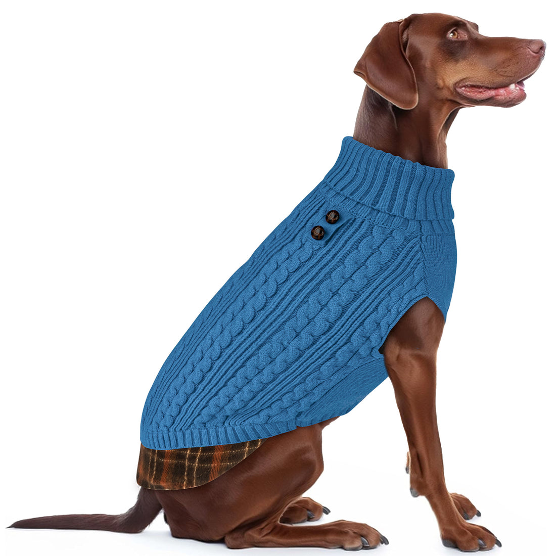 Blue cable-knit dog turtleneck sweater with ribbed hem and two-button placket