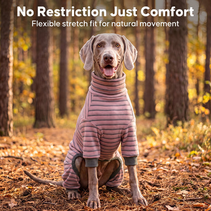 Gray dog seated on a wooded path wearing pink striped turtleneck pajamas