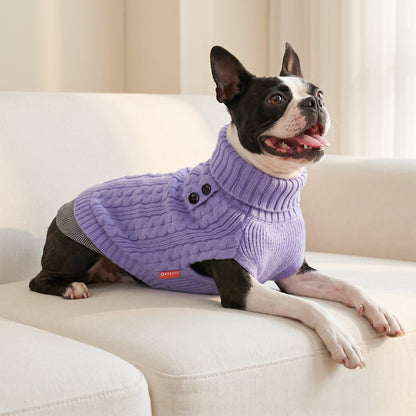 Black and white French bulldog resting on sofa in purple knit sweater