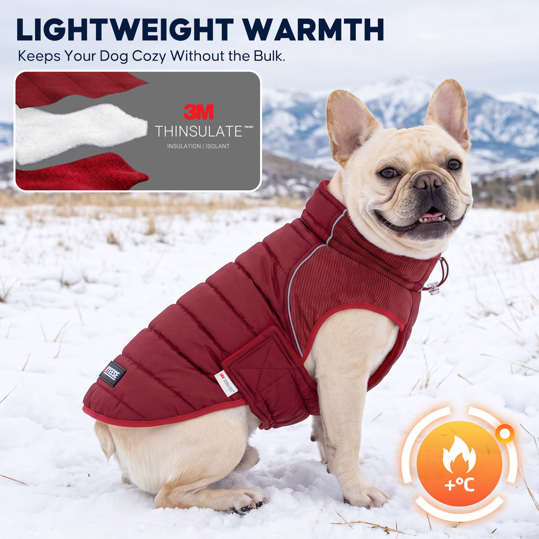 Red Waterproof Lined Dog Coat gallery image 9
