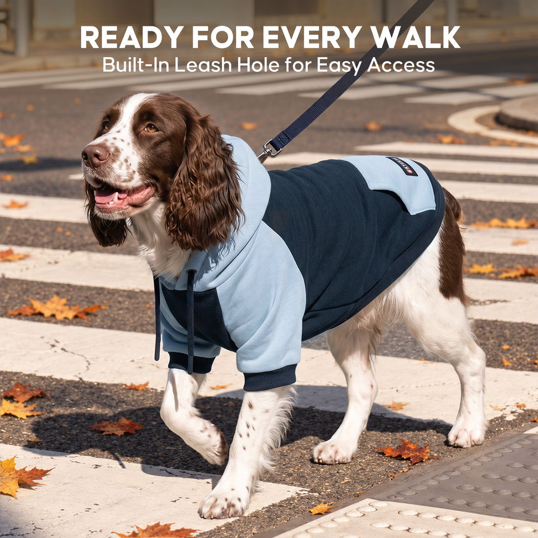 Navy Blue Comfort Dog Hoodie gallery image 7