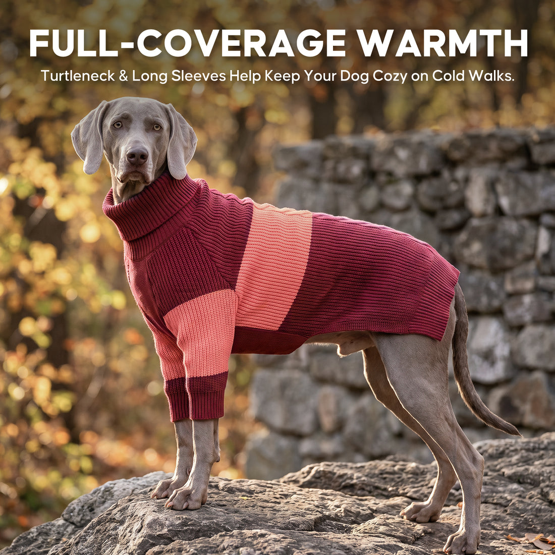 Red Color Block Dog Turtleneck Sweater gallery image 8