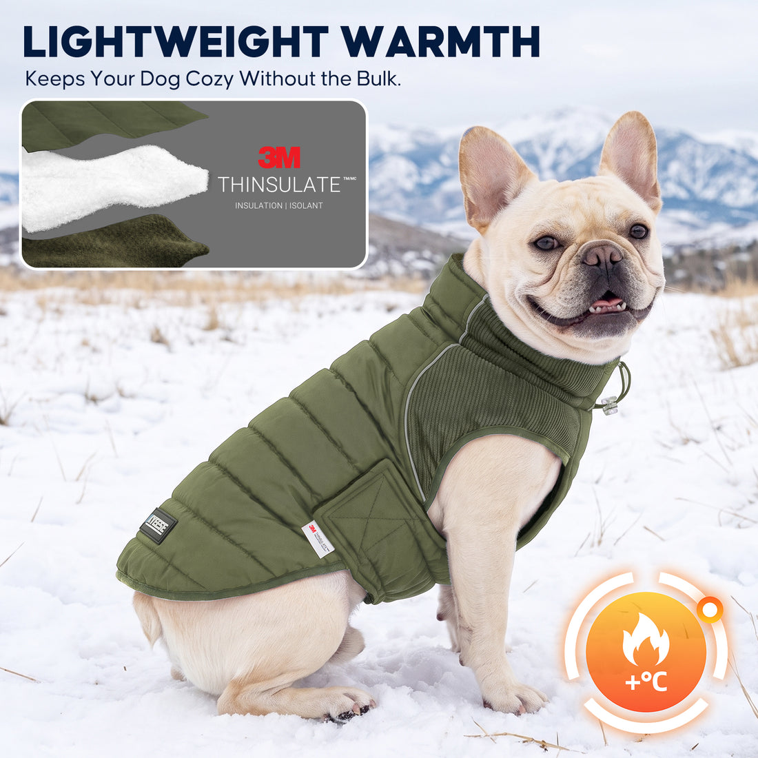 Green Waterproof Lined Dog Coat - Green coat gallery image 9