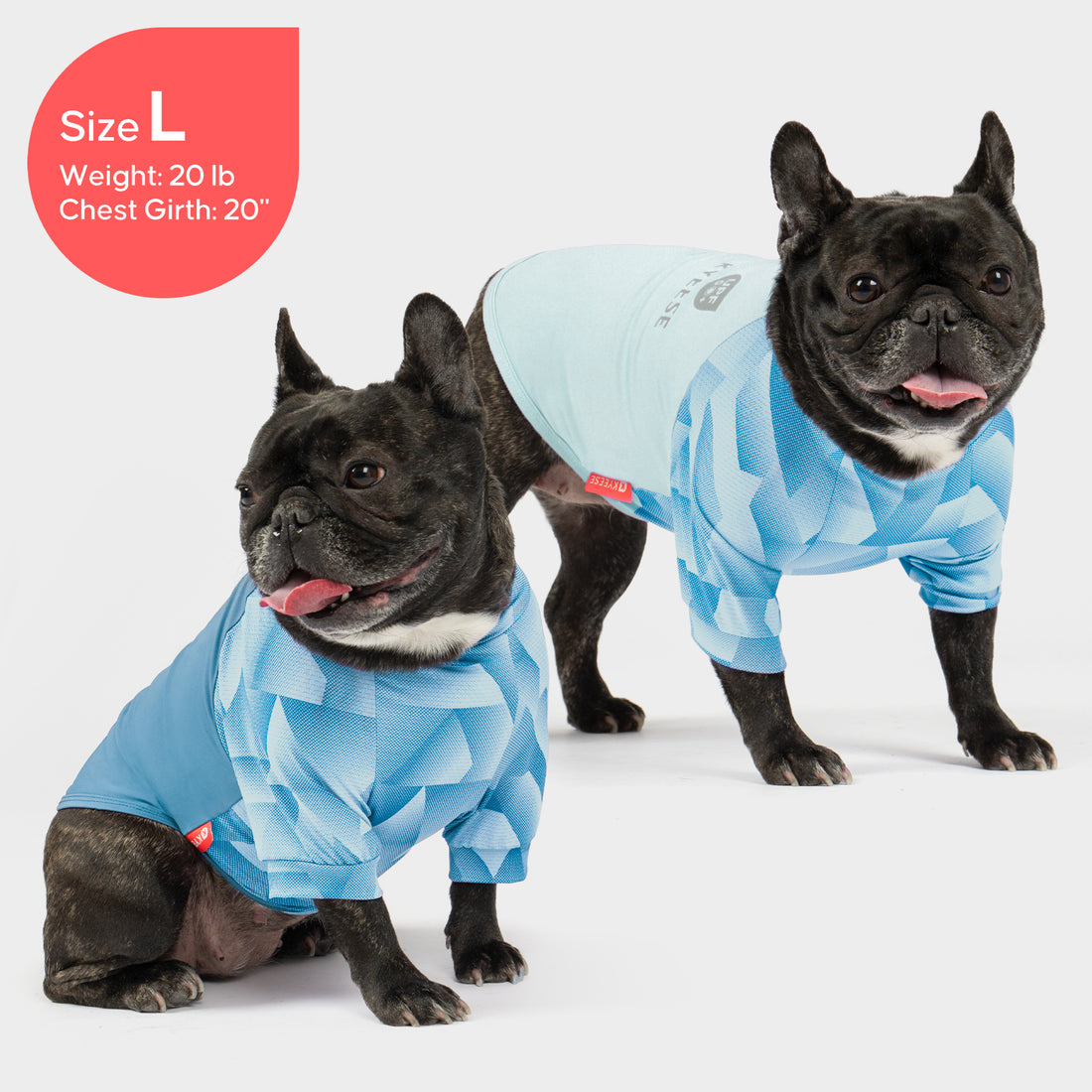 Blue UV dog shirt on black French bulldog, geometric pattern, short sleeves