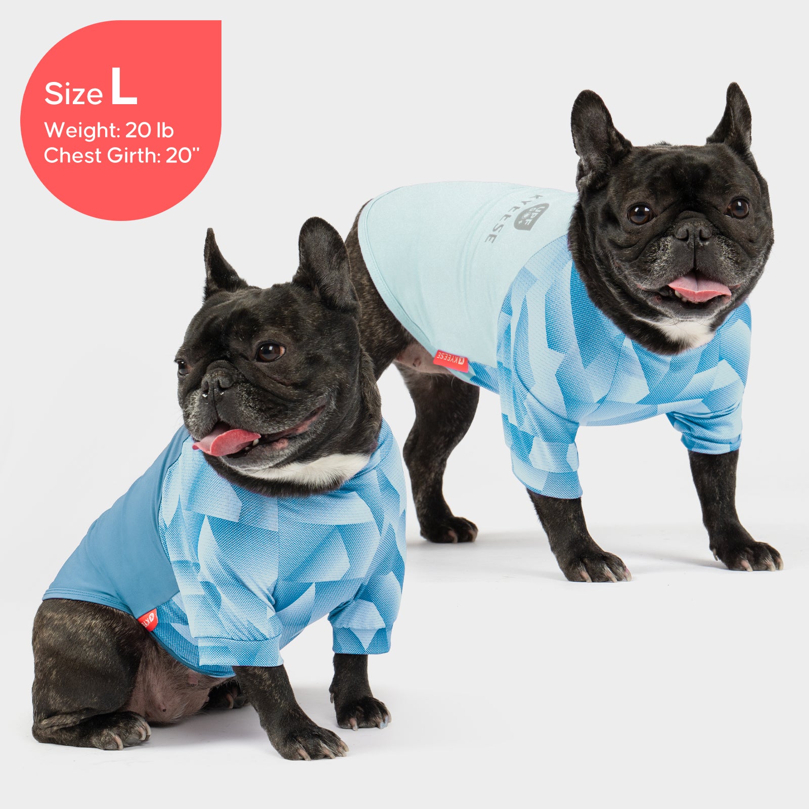 Blue UV dog shirt on black French bulldog, geometric pattern, short sleeves