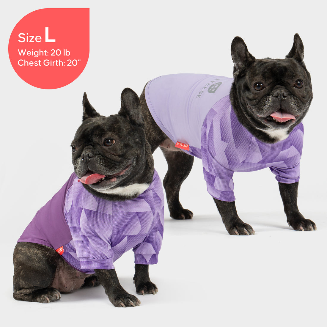 Two dogs wearing matching purple UV-protective shirts with geometric quilted chest panels