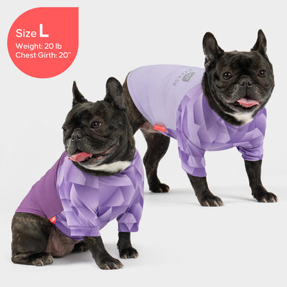 Two dogs wearing matching purple UV-protective shirts with geometric quilted chest panels