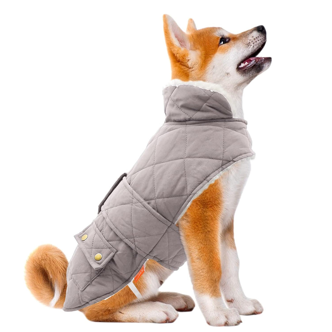 Light gray quilted dog winter coat with hood and sherpa-lined interior