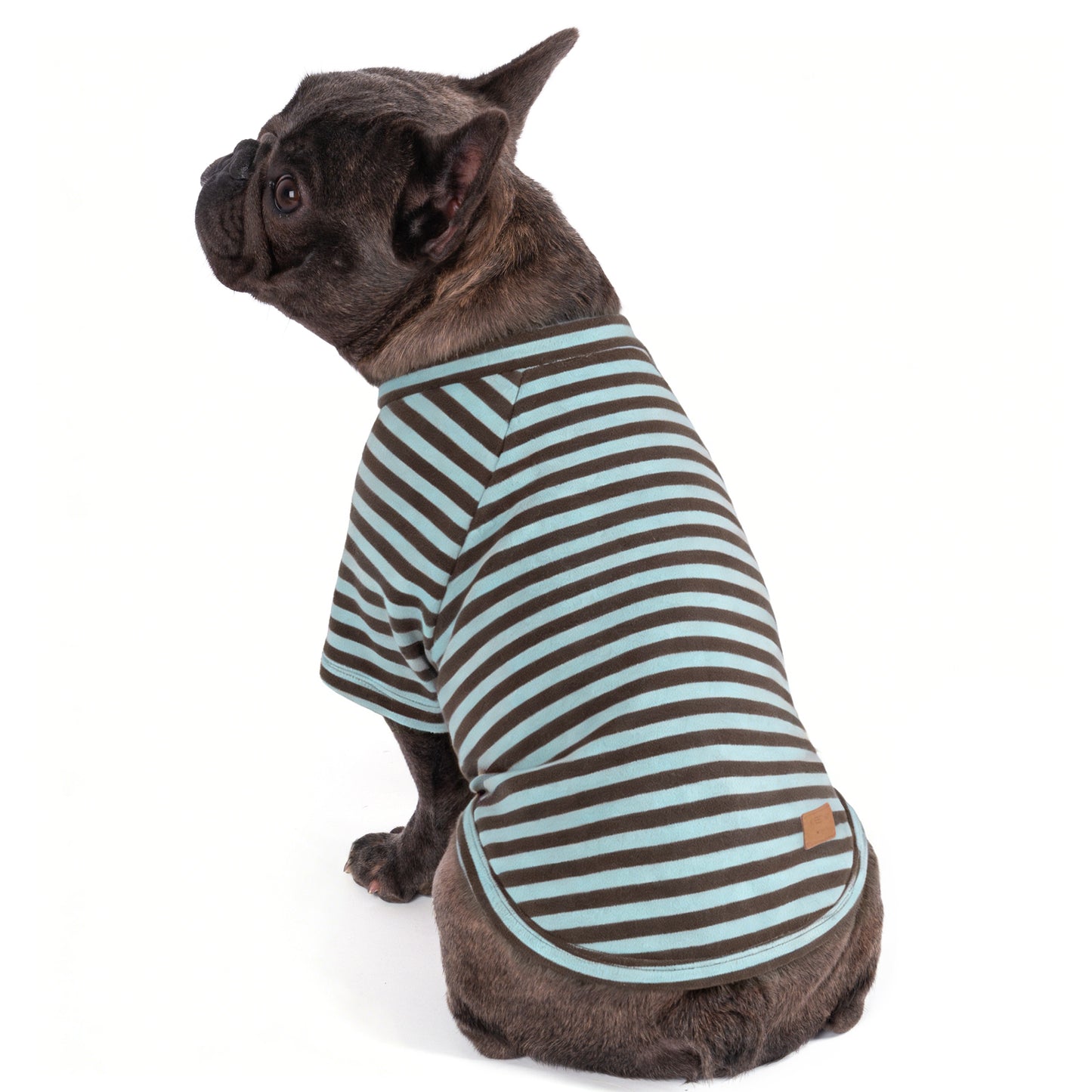 Dog shirt with teal-and-gray striped raglan sleeves