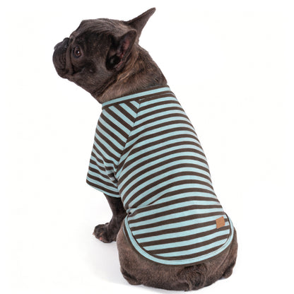 Dog shirt with teal-and-gray striped raglan sleeves